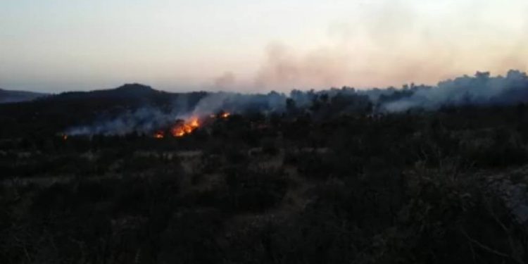Welatiyan şewata li Pasûrê ku eskerên dagirker derxistibûn vemirandin