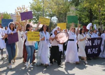 Mîtînga Wanê: Ji bo aştiyê tu jî rabe ser pêyan!