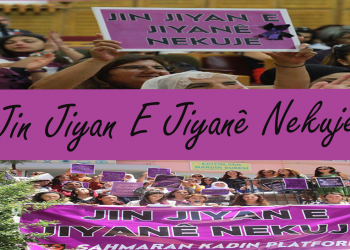 Di meha Tebaxê de 29 jin hatin qetilkirin!