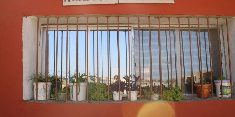 ÇAVDÊRÎ – Jinwar hêvî dide hemû jinên cihanê