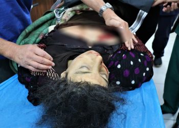 Dayika 4 zarokan di encama topbarana artêşa tirk a dagirker de şehîd ket