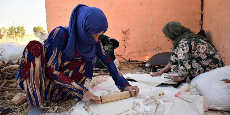Yekemîn Mihrîcana Genim li Serêkaniyê hate lidar xistin