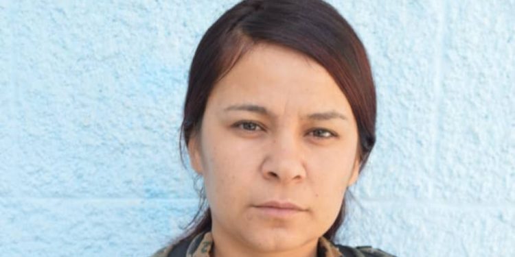 YPJ: Di şexsê Çîçek Kobanê de êrîş li hemû jinan hate kirin