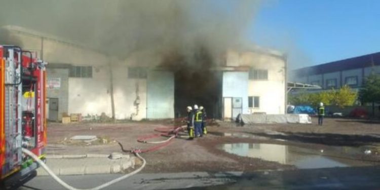 LEZGÎN – Însyatîfa Zarokên Agir li Kayserî û Duzceyê çalakî kirin