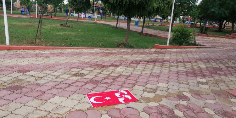 Ji Ciwanên Başûr li dijî dagirkerî û faşîzma tirk, çalakiya ‘Pêl ala Tirkiye bike’