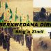 BERXWEDANA DÎROKÎ – Blog a Zindî