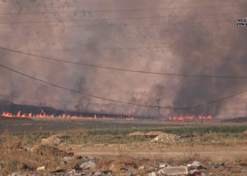 Şervana bersiv dan êrîşan, qerekola artêşa dagirker li ser sinorê Nisebînê teqiya