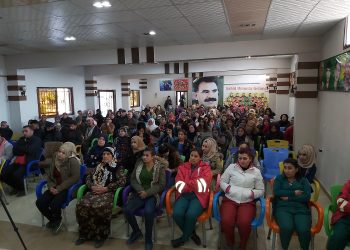 Li Til Temirê seminera derbarê Têkoşîna dijî tundiya li ser Jinan