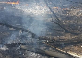 Balafirên keşfê gundê Zibêdiyê yê Zirganê û Eyn Îsa bombebaran kir