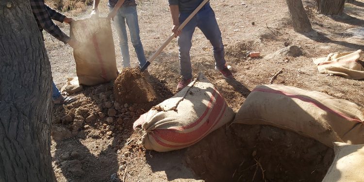 Ciwanên Şoreşger nava bajarê Til Temirê mewizyan dikolin