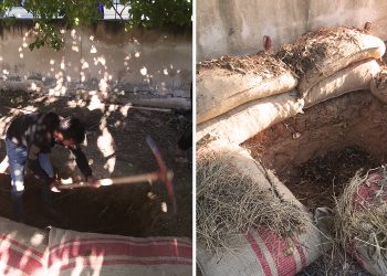 Xebatê kolandina kozikan li bajarê Til Temirê didome