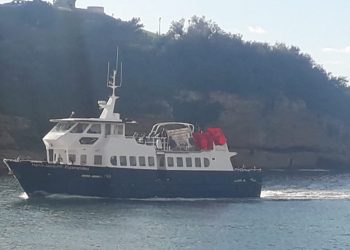 Ciwanên Marsîlyayê di keştiyê de dagirkeriya Tirk protestokirin