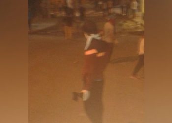 LEZGÎN – Ji Yekîneyên Tolhildanê li Edene û Mêrsînê çalakî!