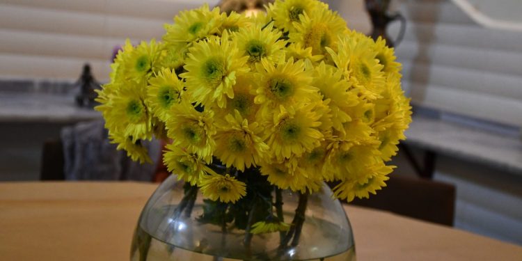 TAYBET – ‘Huner lêgerîna heqîqetê ye’