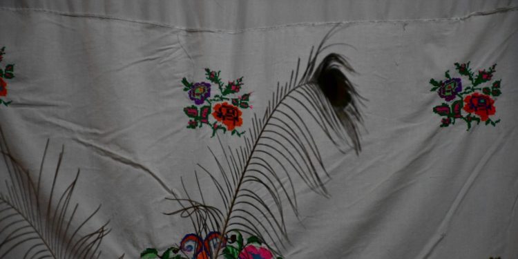 TAYBET – ‘Huner lêgerîna heqîqetê ye’