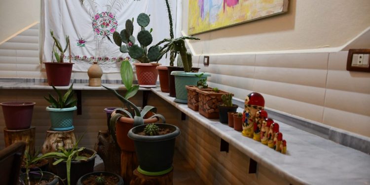 TAYBET – ‘Huner lêgerîna heqîqetê ye’