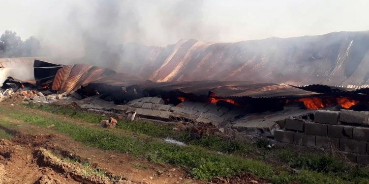 LEZGÎN – Înîsyatîfa Zarokên Agir çalakî kir