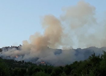 Balafirên artêşa dagirker a tirk herêma Biradostê bombebaran kirin
