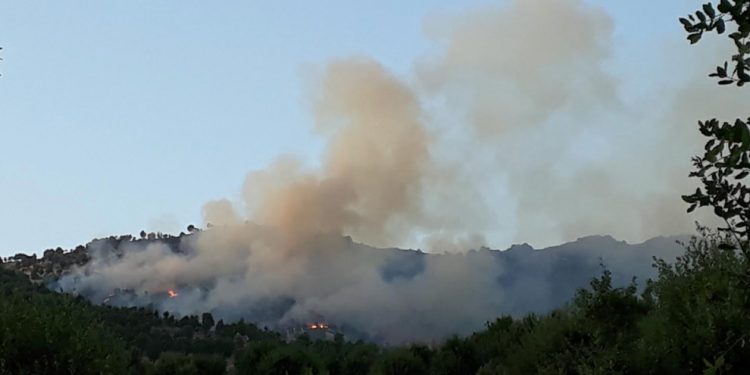 Balafirên artêşa dagirker a tirk herêma Biradostê bombebaran kirin