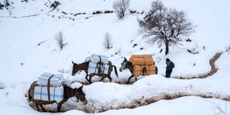 Li Hewraman û Çomanê 2 kolber birîndar bûn