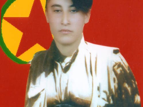 Komîteya Xebatên Şehîdan a PKK’ê şehîdên meha Kanûnê bi bîr anî