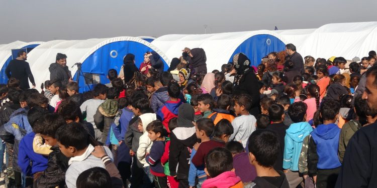 TAYBET – Li kampa Waşokanî Zarokên ji Serêkaniyê dest bi perwerdeyê kirin