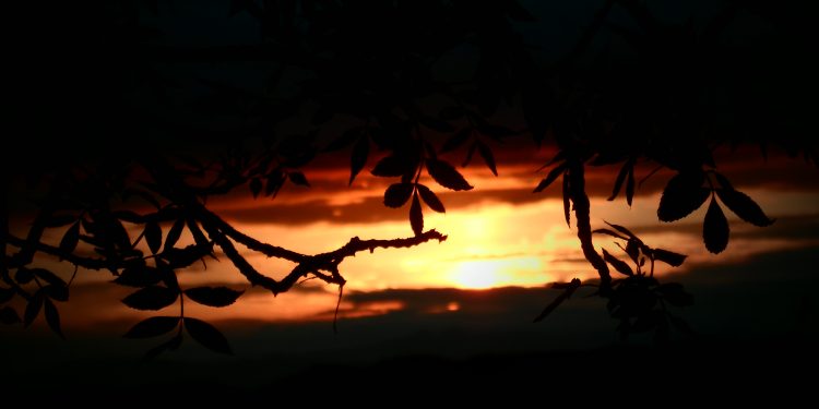 Jiyan Çima Bi Wate Ye?