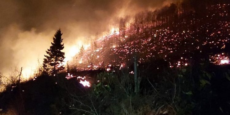 LEZGÎN – Înîsyatîfa Zarokên Agir Trabzonê xistin bin dorpêça agir