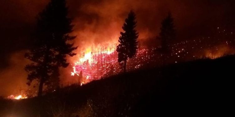 LEZGÎN – Înîsyatîfa Zarokên Agir Trabzonê xistin bin dorpêça agir