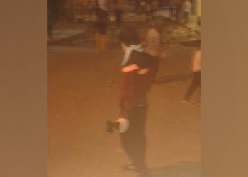 LEZGÎN – Yekîneyên Tolhildanê li Wan û Amedê çalakî kirin