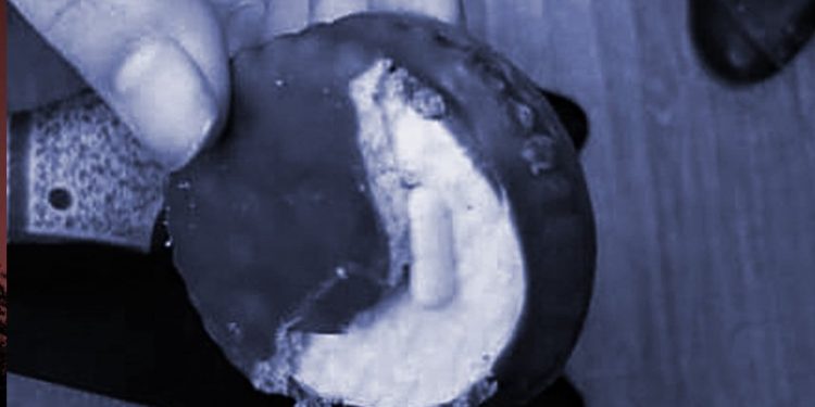 Li Rojhilatê Kurdistanê û Îranê jî heb di nava kekan de hate dîtin!