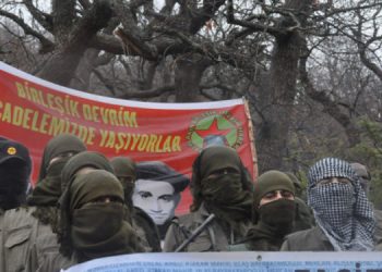 HBDH: Hevgirtina Efrînê peywira gelan e