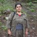 HPG’ê nasnameya gerîlayeke li Qendîlê şehîd bû eşkere kir