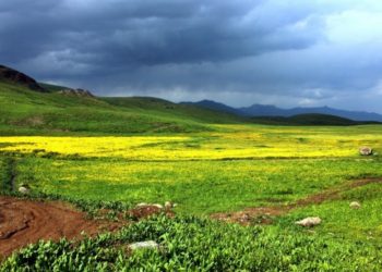 Li Colemêrgê 5 herêm hatin qedexekirin