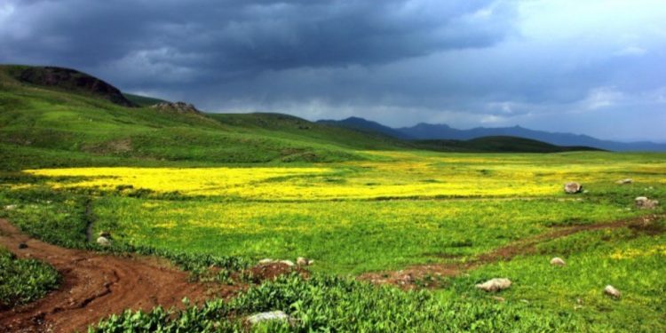 Li Colemêrgê 5 herêm hatin qedexekirin