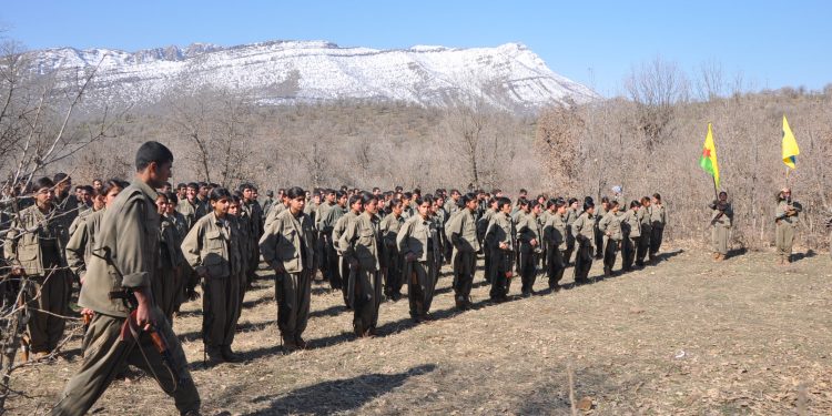 Ji Pênûsa Gerîlla: Gerîlla û Rastiya Jiyanê