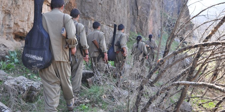 Ji Pênûsa Gerîlla: Huner û Jiyan..