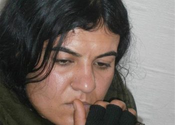 Şoreşgera Sînor Nenas