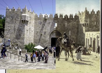 TAYBET – Fêrbûyina Siyasetê li Şamê gengaz e