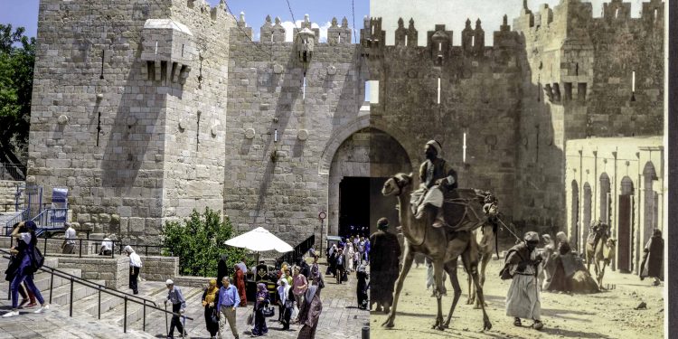 TAYBET – Fêrbûyina Siyasetê li Şamê gengaz e