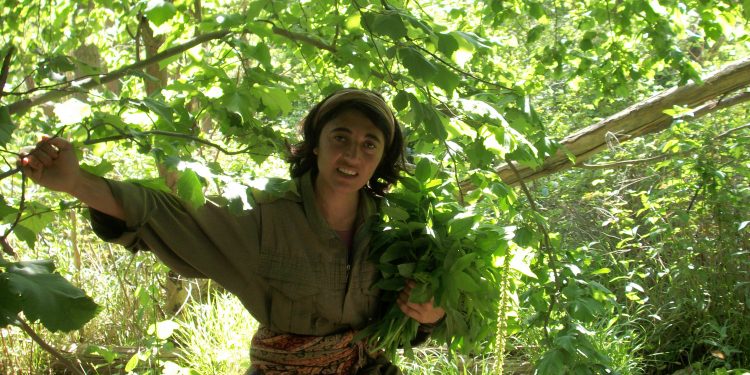 Ji Pênûsa Gerîlla: Efsaneya Qehremaniyê