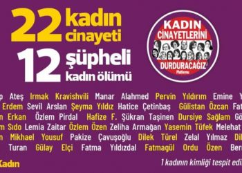 Di meha Sibatê de 22 jin hatin qetilkirin