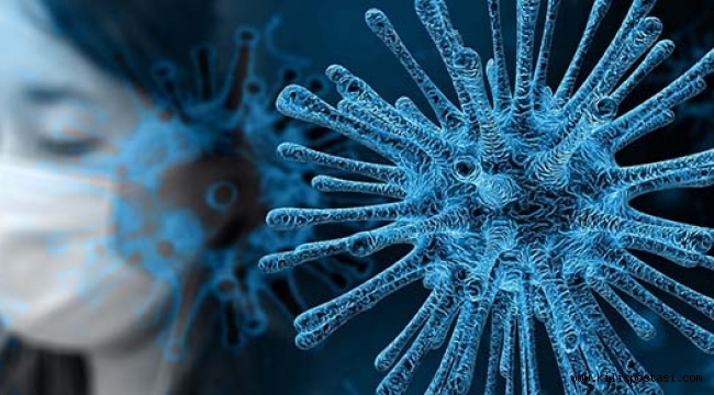 Dibe ku covîd-19 bibe fetlonekeke dîrokî!