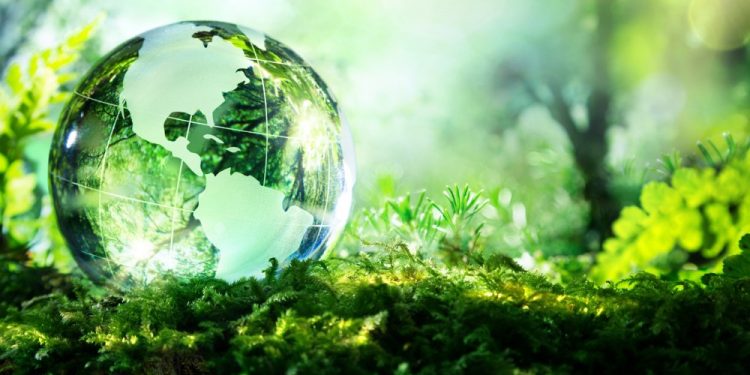 Xwezayê piştî çend salan bêhneke paqij stend!