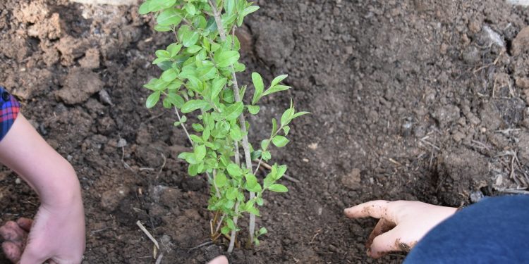Ciwanên Başûrê Kurdistanê bi coş 4’ê Nîsanê pîroz kirin