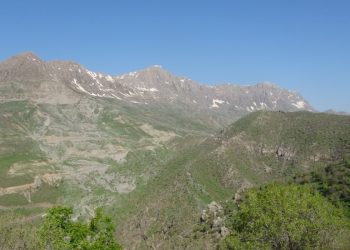 Li perçekirina Ciwanên Kurd temaşe kirin!