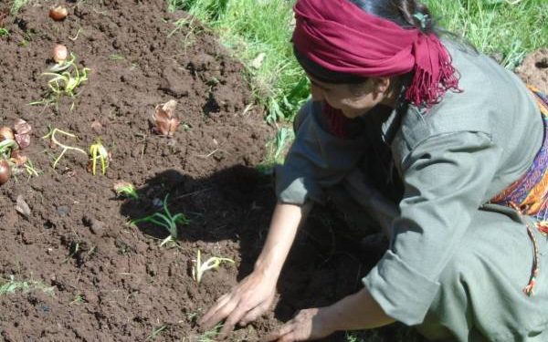PKK’ê Avesta Fîras Herekol bi bîr anî