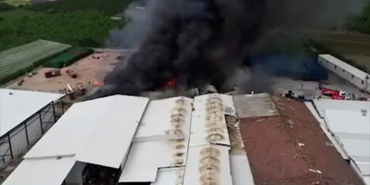 LEZGÎN – Yekîneya Tolhildanê li Bûrsayê çalakî kir