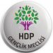Meclîsa Ciwanan a HDP’ê şehîdên Meha Gulanê bibîr anî