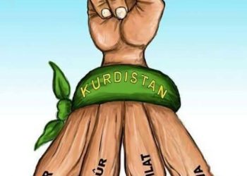 Dijmin Yekîtiyê naxwaze